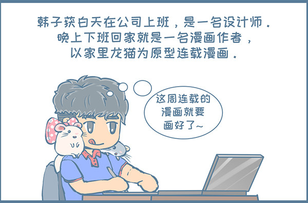 《我家有只小龙猫》漫画最新章节可爱的龙猫袜子（下）免费下拉式在线观看章节第【2】张图片