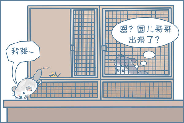 《我家有只小龙猫》漫画最新章节龙猫军军告状（1）免费下拉式在线观看章节第【4】张图片