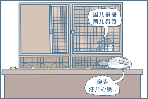 《我家有只小龙猫》漫画最新章节龙猫军军告状（1）免费下拉式在线观看章节第【5】张图片