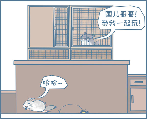 《我家有只小龙猫》漫画最新章节龙猫军军告状（2）免费下拉式在线观看章节第【4】张图片