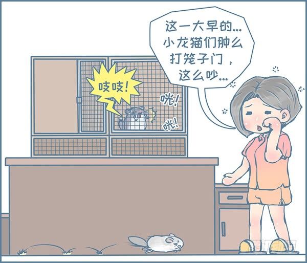 《我家有只小龙猫》漫画最新章节军军告状（3）免费下拉式在线观看章节第【4】张图片