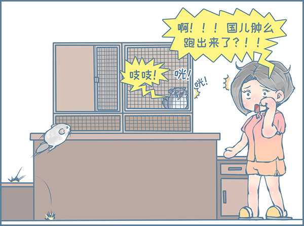 《我家有只小龙猫》漫画最新章节军军告状（3）免费下拉式在线观看章节第【5】张图片