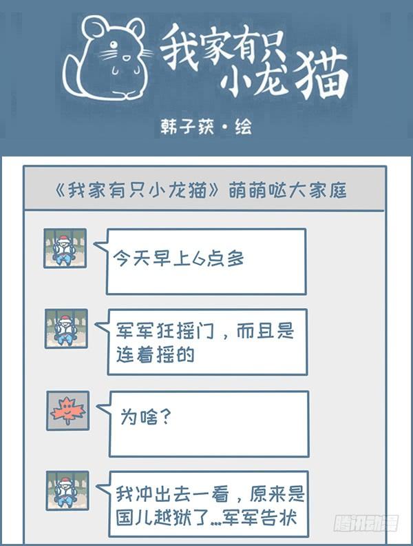 《我家有只小龙猫》漫画最新章节军军告状（4）免费下拉式在线观看章节第【1】张图片