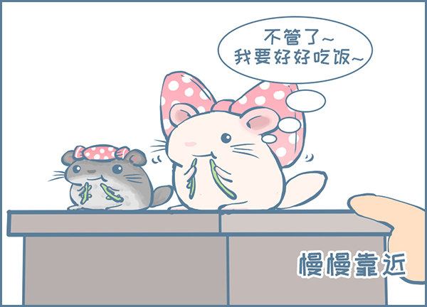 《我家有只小龙猫》漫画最新章节佛系妮妮（上）免费下拉式在线观看章节第【3】张图片