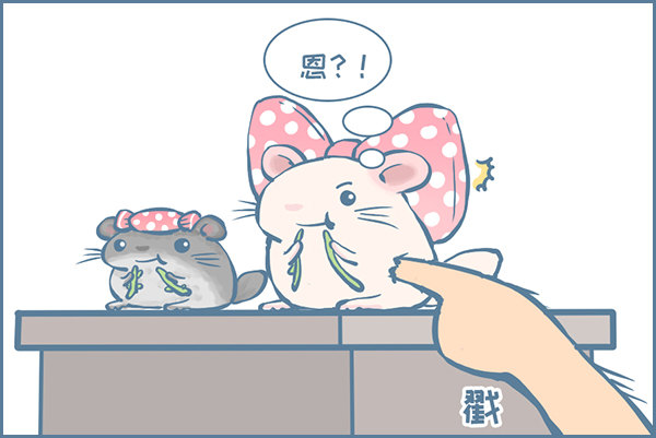 《我家有只小龙猫》漫画最新章节佛系妮妮（上）免费下拉式在线观看章节第【5】张图片