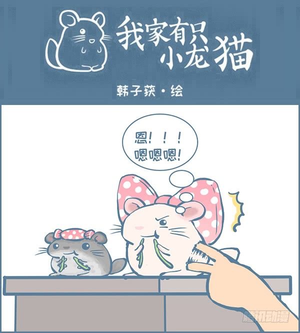 《我家有只小龙猫》漫画最新章节佛系妮妮（下）免费下拉式在线观看章节第【1】张图片