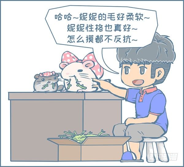 《我家有只小龙猫》漫画最新章节佛系妮妮（下）免费下拉式在线观看章节第【5】张图片