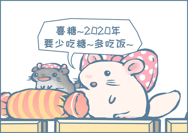 《我家有只小龙猫》漫画最新章节2020元旦快乐免费下拉式在线观看章节第【3】张图片