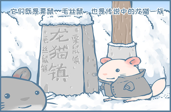 《我家有只小龙猫》漫画最新章节鼠年龙猫族的礼物（1）免费下拉式在线观看章节第【3】张图片