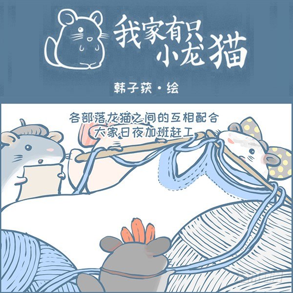 《我家有只小龙猫》漫画最新章节鼠年龙猫族的礼物（4）免费下拉式在线观看章节第【1】张图片