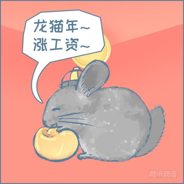 《我家有只小龙猫》漫画最新章节真实世界龙猫的祝福（上）免费下拉式在线观看章节第【10】张图片