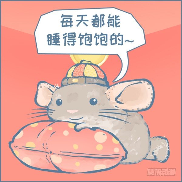 《我家有只小龙猫》漫画最新章节真实世界龙猫的祝福（上）免费下拉式在线观看章节第【3】张图片