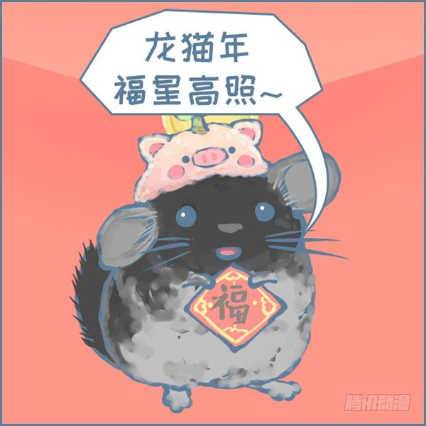 《我家有只小龙猫》漫画最新章节真实世界龙猫的祝福（上）免费下拉式在线观看章节第【4】张图片