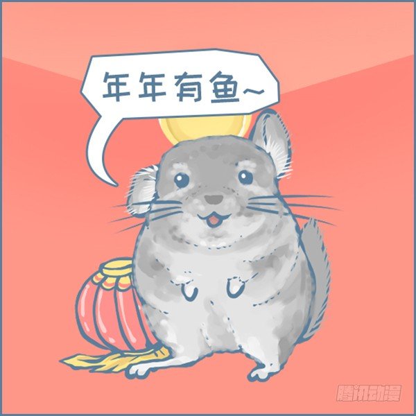 《我家有只小龙猫》漫画最新章节真实世界龙猫的祝福（下）免费下拉式在线观看章节第【1】张图片