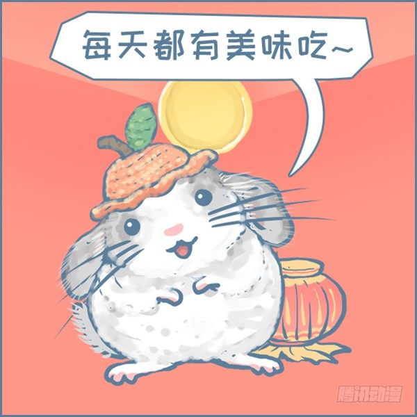 《我家有只小龙猫》漫画最新章节真实世界龙猫的祝福（下）免费下拉式在线观看章节第【11】张图片