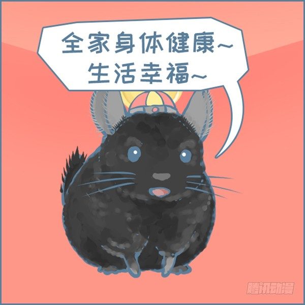 《我家有只小龙猫》漫画最新章节真实世界龙猫的祝福（下）免费下拉式在线观看章节第【2】张图片