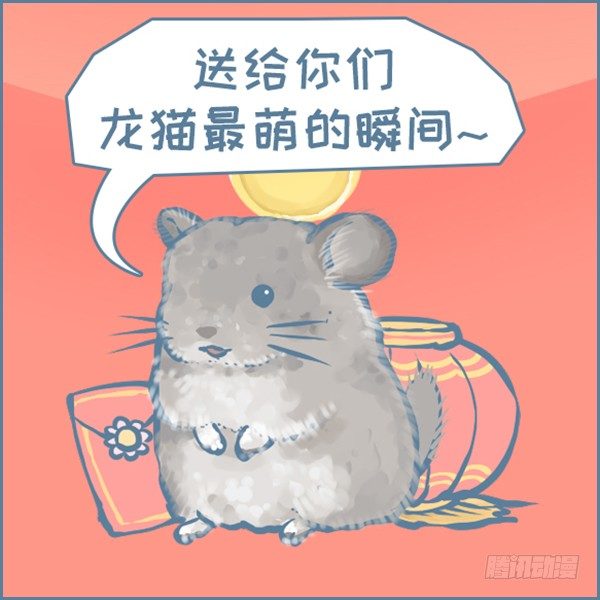 《我家有只小龙猫》漫画最新章节真实世界龙猫的祝福（下）免费下拉式在线观看章节第【3】张图片