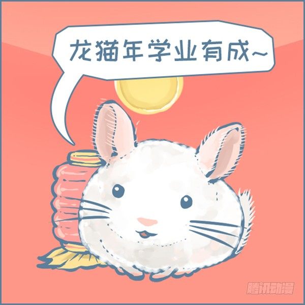 《我家有只小龙猫》漫画最新章节真实世界龙猫的祝福（下）免费下拉式在线观看章节第【4】张图片