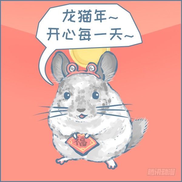 《我家有只小龙猫》漫画最新章节真实世界龙猫的祝福（下）免费下拉式在线观看章节第【9】张图片