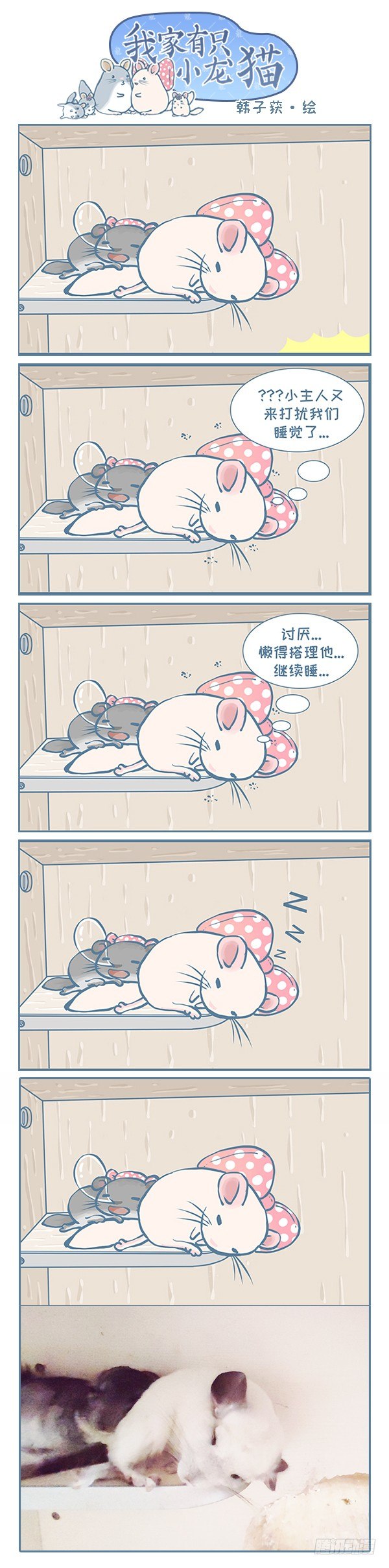 《我家有只小龙猫》漫画最新章节妮妮的日常生活之二免费下拉式在线观看章节第【2】张图片