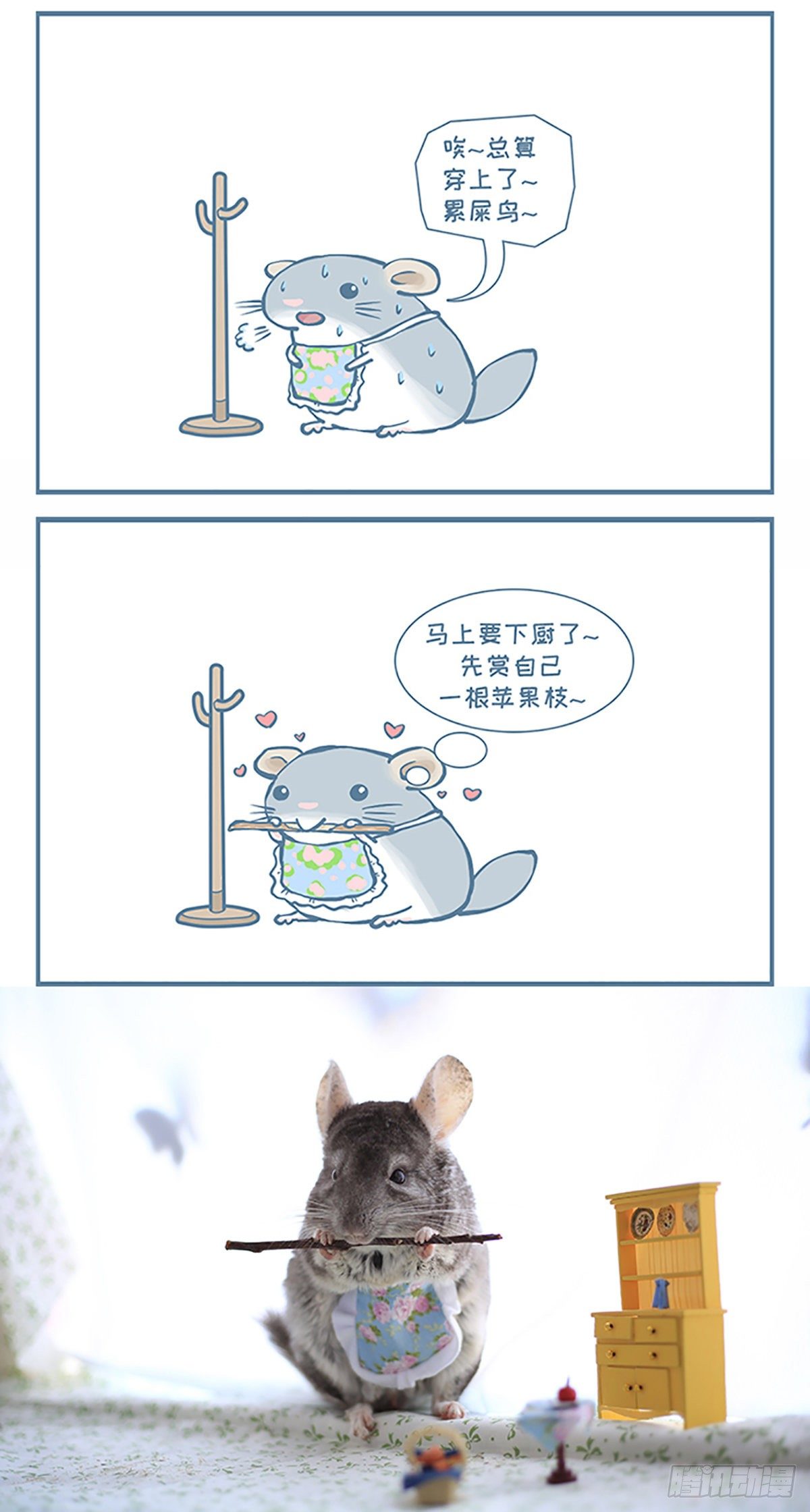 《我家有只小龙猫》漫画最新章节龙猫“大脸”要下厨了（上）免费下拉式在线观看章节第【3】张图片