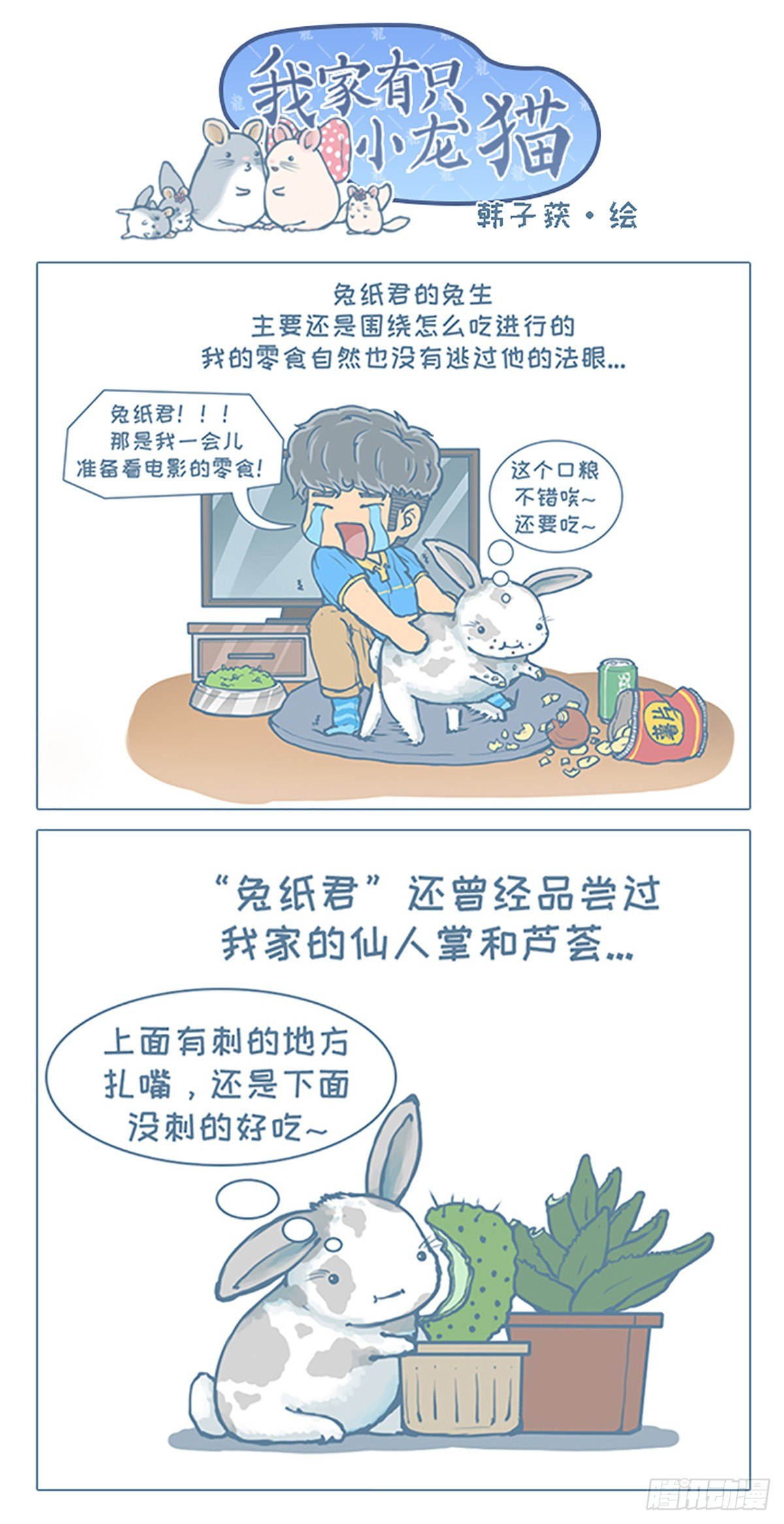 《我家有只小龙猫》漫画最新章节第43个小故事免费下拉式在线观看章节第【1】张图片