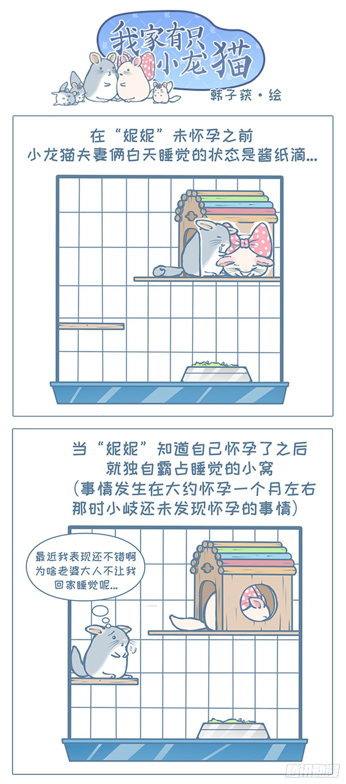 《我家有只小龙猫》漫画最新章节第75个小故事免费下拉式在线观看章节第【1】张图片