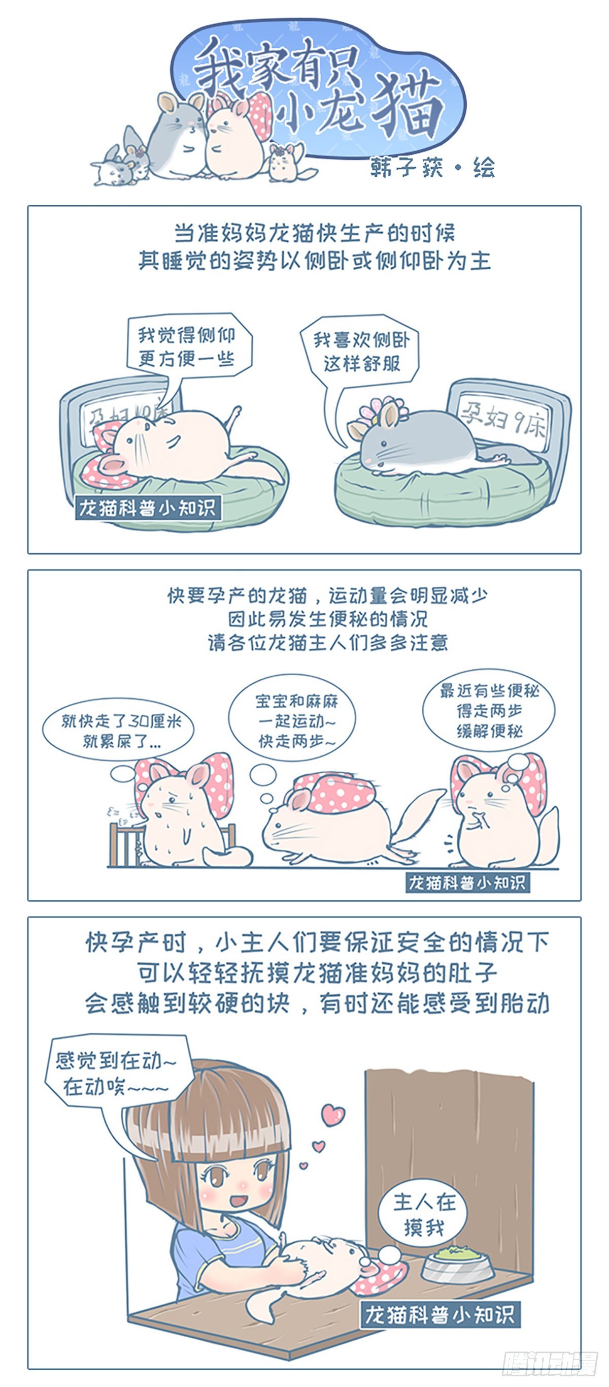 《我家有只小龙猫》漫画最新章节第83个小故事免费下拉式在线观看章节第【1】张图片