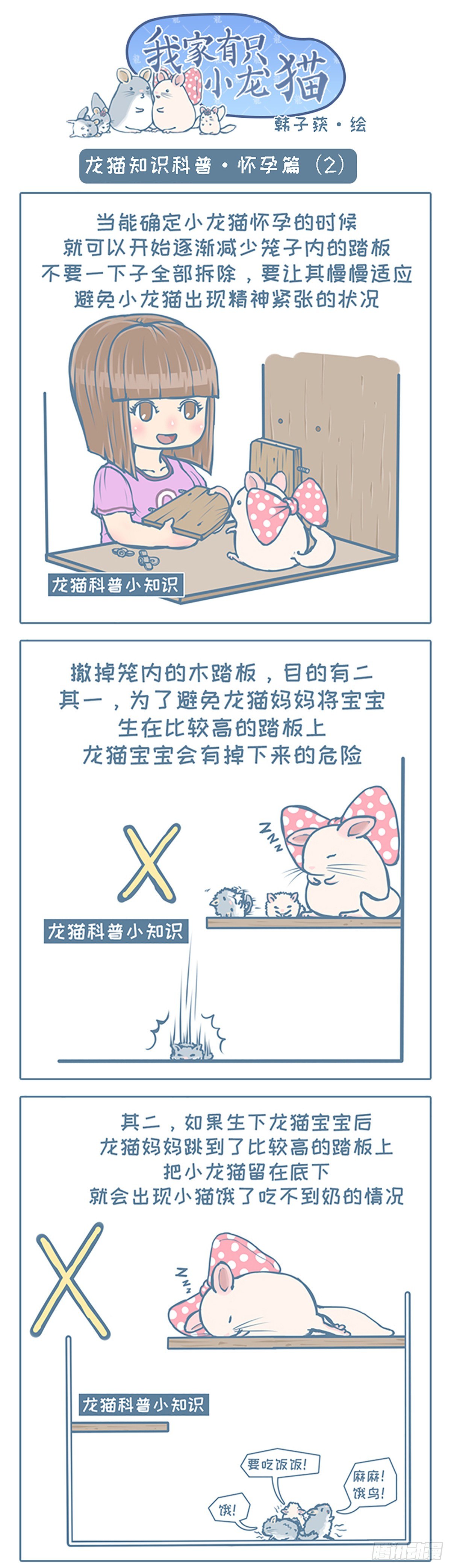 《我家有只小龙猫》漫画最新章节第86个小故事免费下拉式在线观看章节第【1】张图片