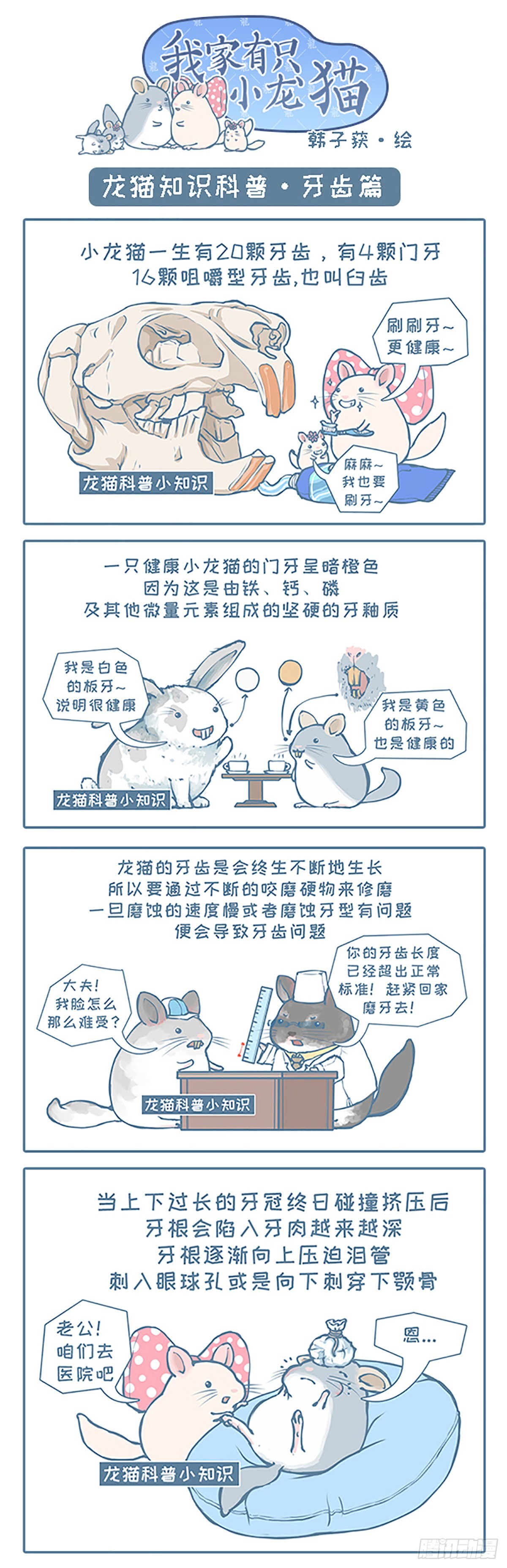 《我家有只小龙猫》漫画最新章节第92个小故事免费下拉式在线观看章节第【1】张图片