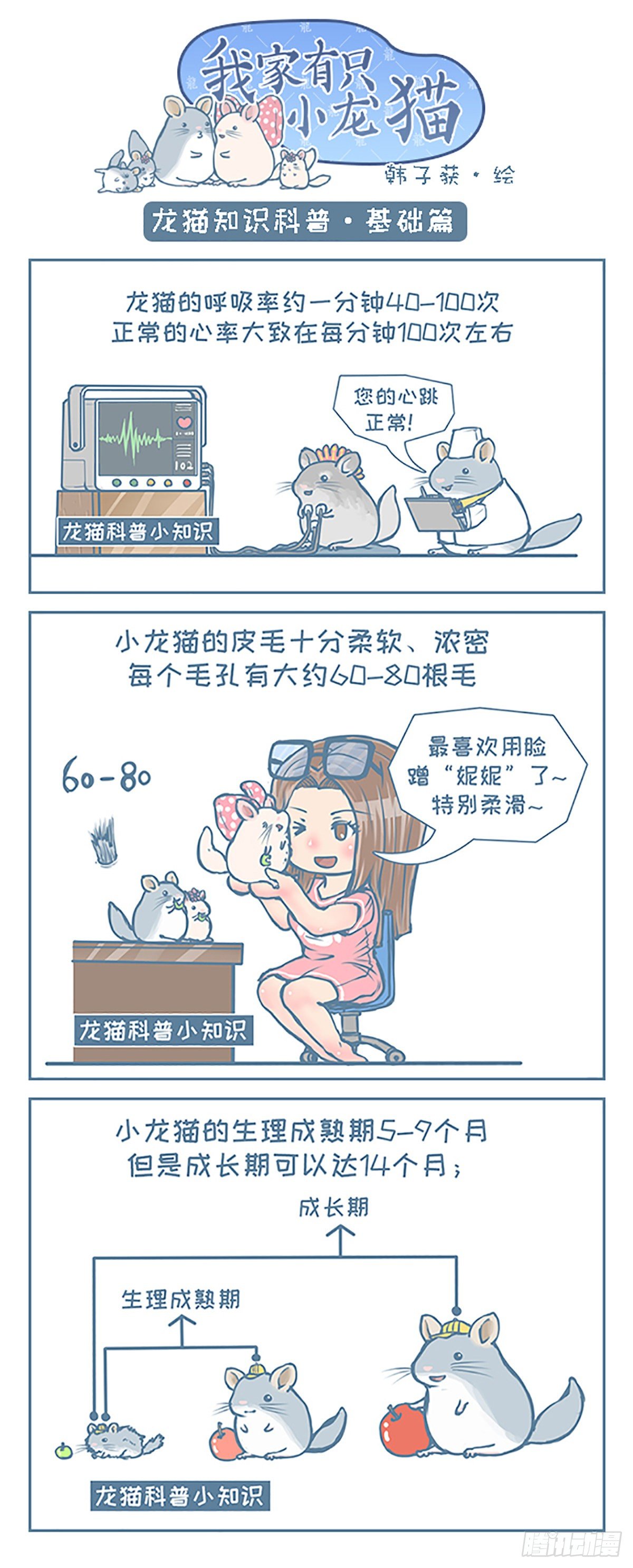 《我家有只小龙猫》漫画最新章节第97个小故事免费下拉式在线观看章节第【2】张图片