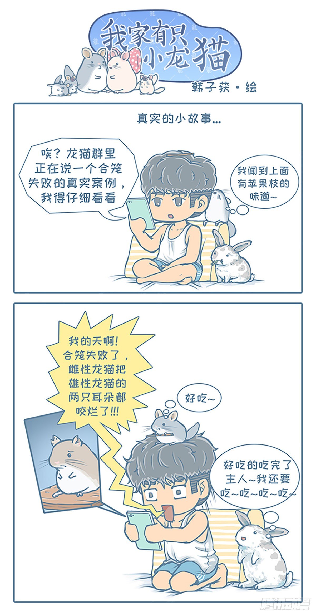 《我家有只小龙猫》漫画最新章节第100个小故事免费下拉式在线观看章节第【1】张图片