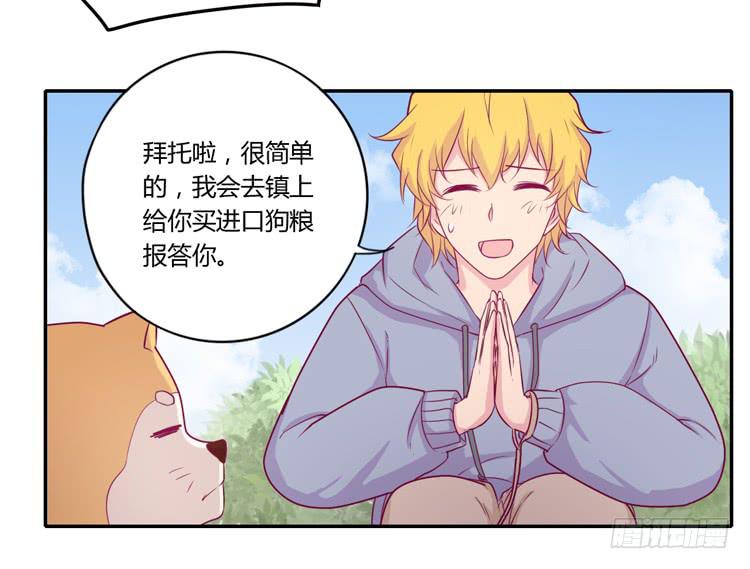 《我与秋田》漫画最新章节拉近距离大作战免费下拉式在线观看章节第【37】张图片