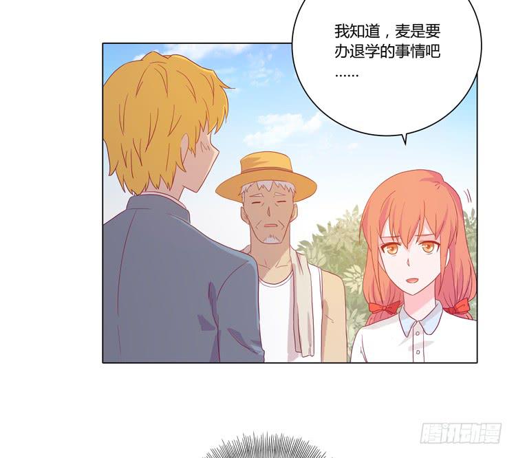 《我与秋田》漫画最新章节我要带小麦回城里！免费下拉式在线观看章节第【10】张图片