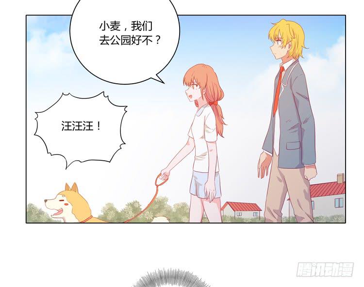 《我与秋田》漫画最新章节我要带小麦回城里！免费下拉式在线观看章节第【15】张图片