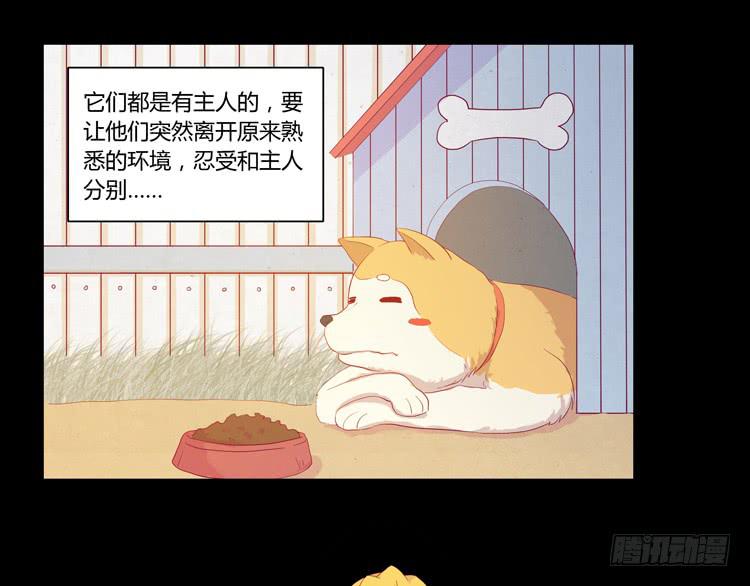 《我与秋田》漫画最新章节我要带小麦回城里！免费下拉式在线观看章节第【19】张图片