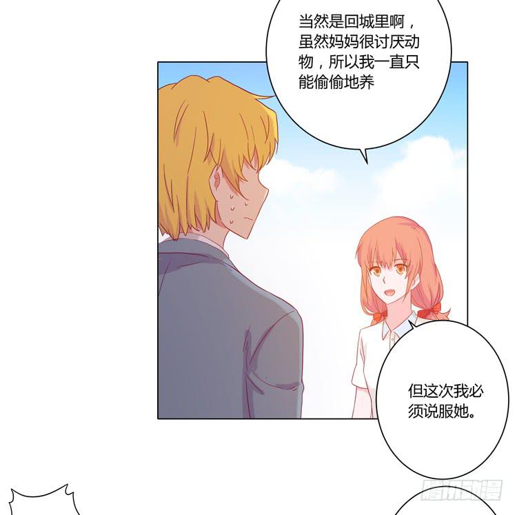 《我与秋田》漫画最新章节我要带小麦回城里！免费下拉式在线观看章节第【44】张图片