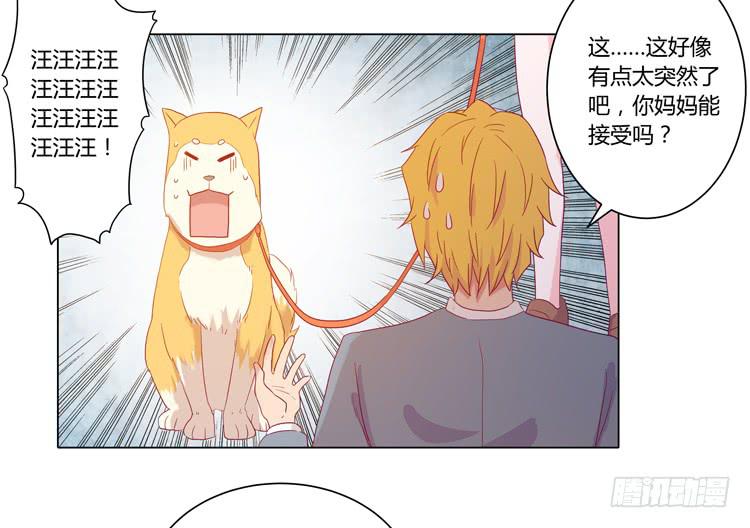 《我与秋田》漫画最新章节我要带小麦回城里！免费下拉式在线观看章节第【45】张图片