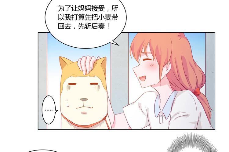 《我与秋田》漫画最新章节我要带小麦回城里！免费下拉式在线观看章节第【46】张图片