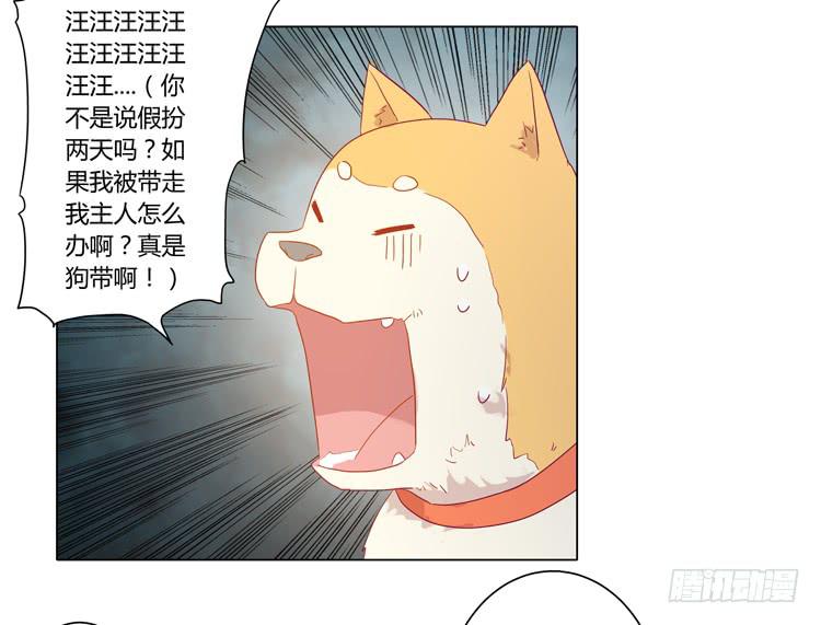 《我与秋田》漫画最新章节我要带小麦回城里！免费下拉式在线观看章节第【49】张图片