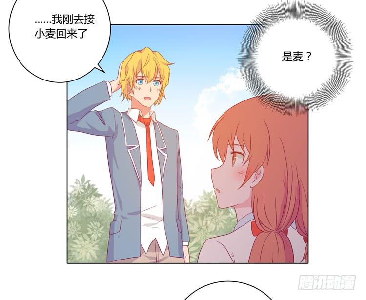 《我与秋田》漫画最新章节我要带小麦回城里！免费下拉式在线观看章节第【8】张图片