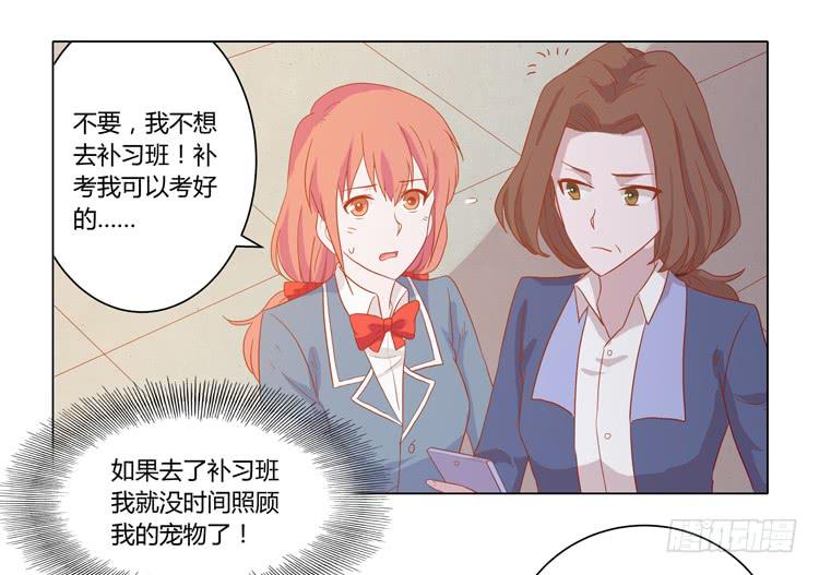 《我与秋田》漫画最新章节辰风，厉害了我的学霸！免费下拉式在线观看章节第【25】张图片