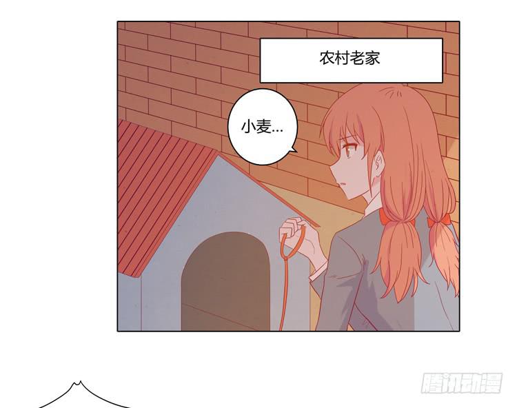 《我与秋田》漫画最新章节辰风，厉害了我的学霸！免费下拉式在线观看章节第【6】张图片