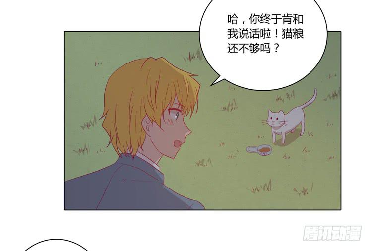 《我与秋田》漫画最新章节你是怎样变成人的？！免费下拉式在线观看章节第【32】张图片