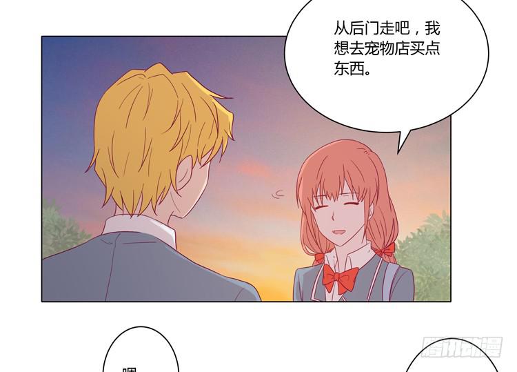 《我与秋田》漫画最新章节你是怎样变成人的？！免费下拉式在线观看章节第【6】张图片