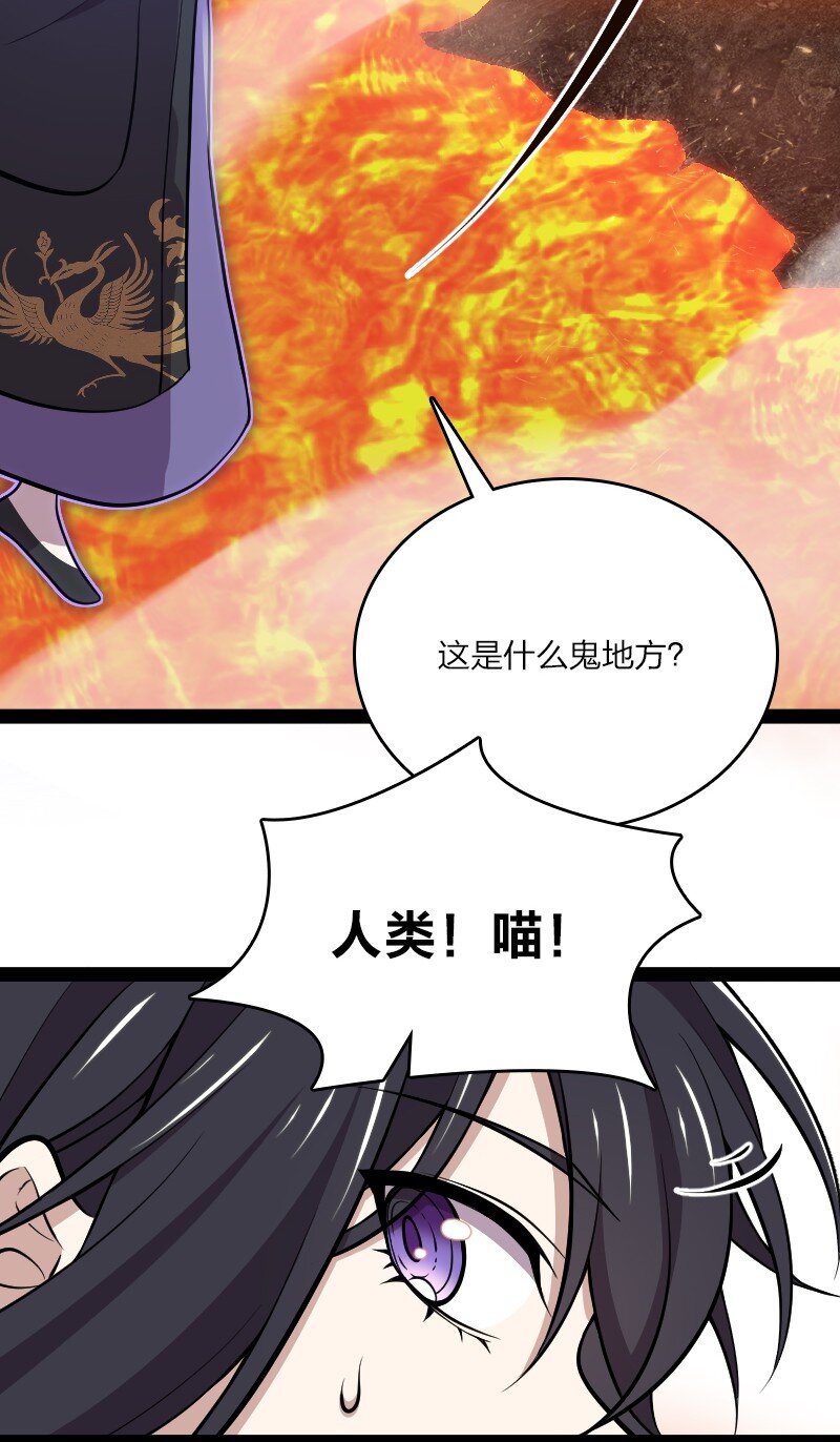 《武帝隐居之后的生活》漫画最新章节094 猫咪？免费下拉式在线观看章节第【49】张图片