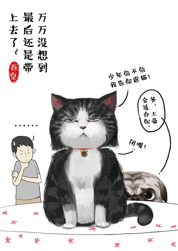 《吾皇巴扎黑》漫画最新章节第2话 傲娇是猫的原则免费下拉式在线观看章节第【6】张图片