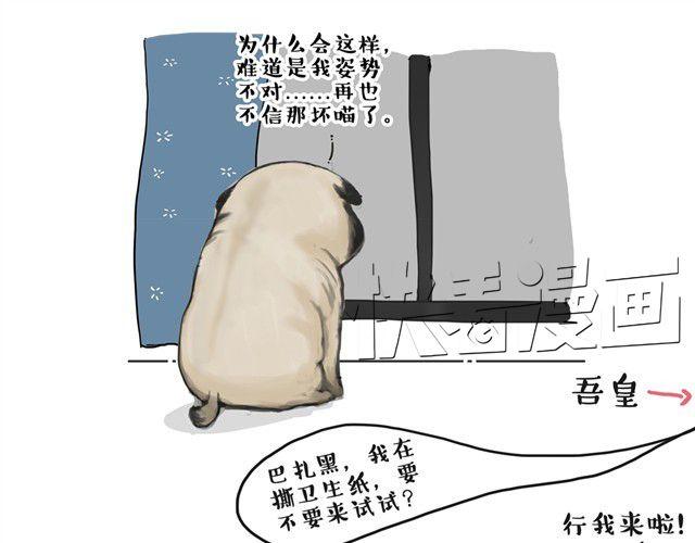 《吾皇巴扎黑》漫画最新章节第11话 温顺的少年免费下拉式在线观看章节第【17】张图片