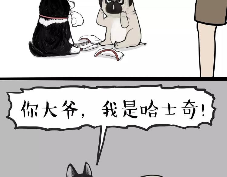 《吾皇巴扎黑》漫画最新章节第104话 来人救驾免费下拉式在线观看章节第【13】张图片