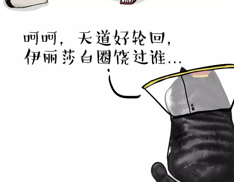 《吾皇巴扎黑》漫画最新章节第104话 来人救驾免费下拉式在线观看章节第【26】张图片